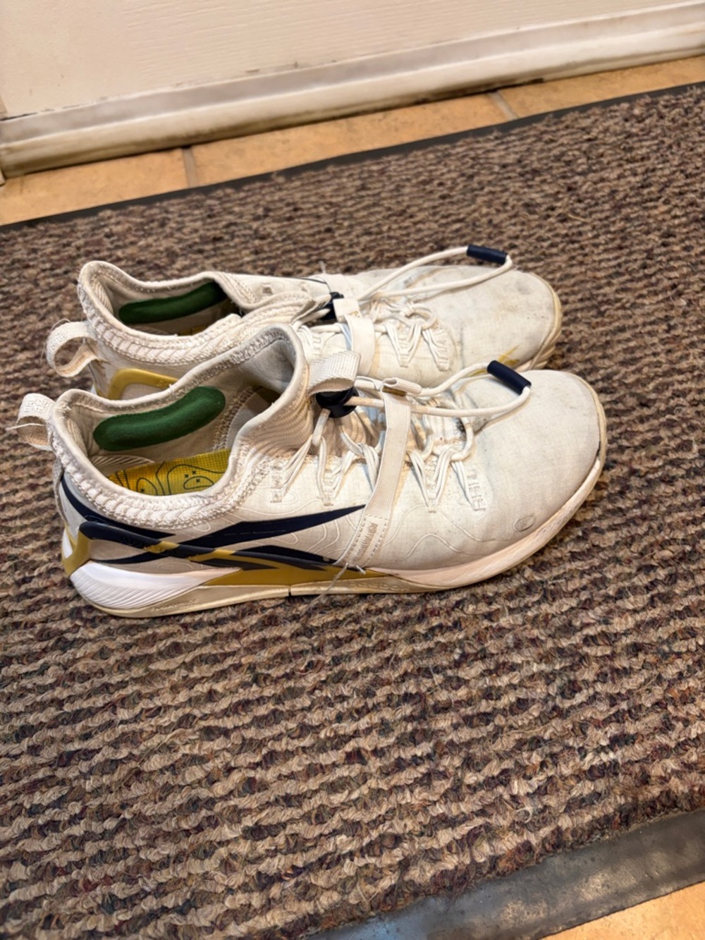 Reebok Nano Froning